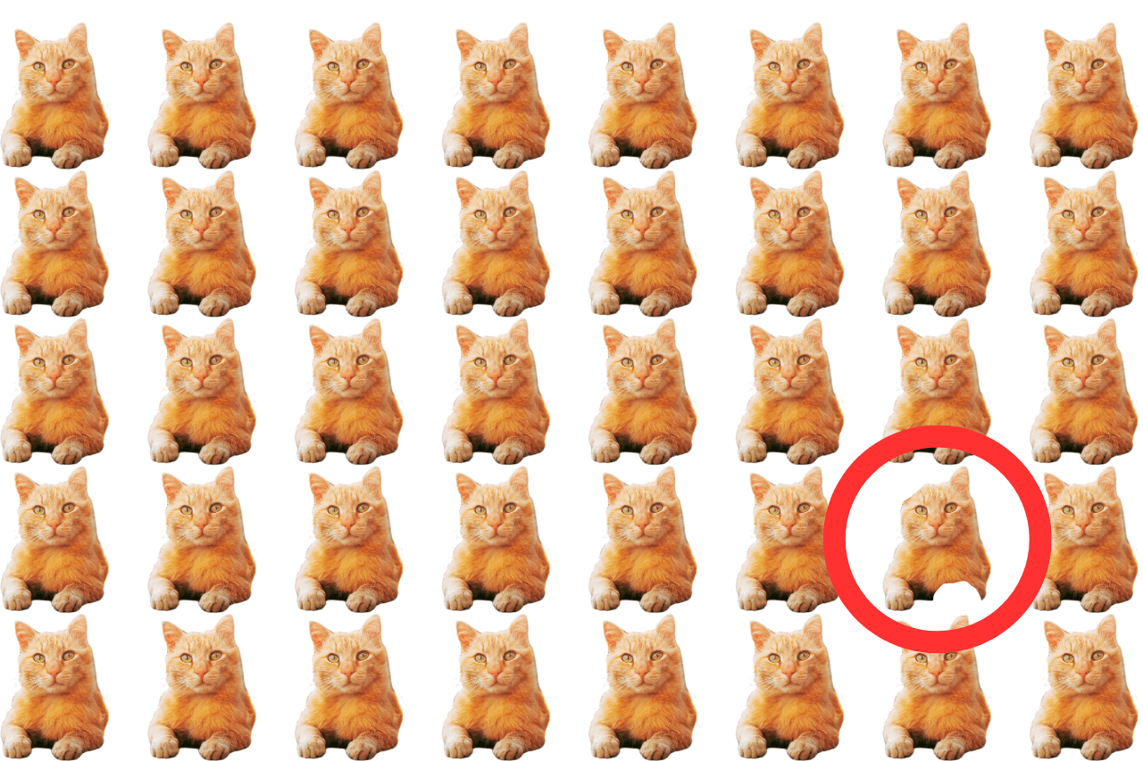 Optical Illusion: सिर्फ 5 सेकंड में आप केवल तेज दिमाग के साथ तस्वीर में एक अलग बिल्ली को पहचान सकते हैं, क्या आपमें है दम?